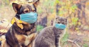 20220418050948948 (1)