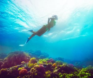 003AB694 856E 485B 8E4F F7BC77737BBB