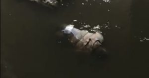 202101100239273927