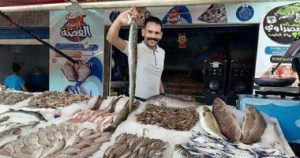 20220519010227227