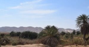202207270446384638