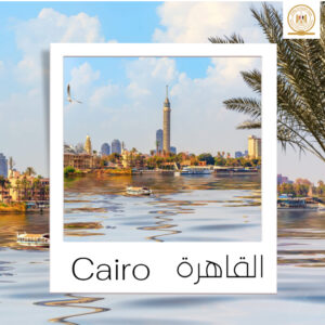 5E0D4120 7E53 4FED 85FB AF12CD915CCF