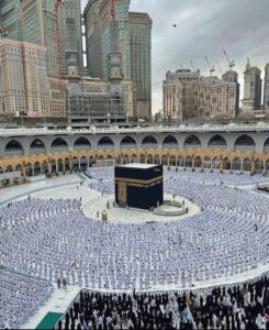 77B583BF 7A76 4774 98C5 7939E5F26CCE