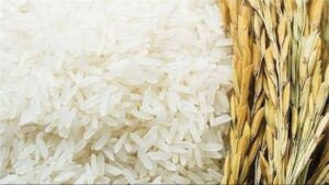 A4CFC4E0 D140 440A 8616 4DE73144970E