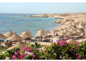 896E031F 65C5 416E B498 8098653859F4