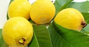 9ACFED60 729A 4098 800C FEC800429196