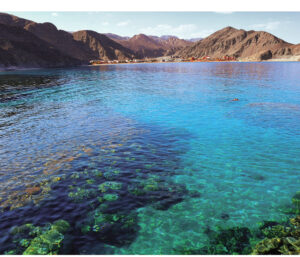 E29C3F27 4263 4956 AE5E 741801C5DE37