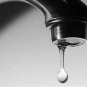 9067fe94 3c13 4b0c 8052 4afbe26bbbd1 1024x1024