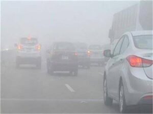 3BB04788 70BF 4C86 B2A9 A22664E1404B