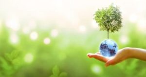 04FC93B9 95C8 4DC6 81F6 EF3E96CDF02E