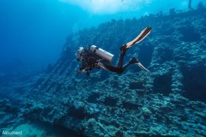 1BDAA5EB 6E25 462A AC68 1290962A380B