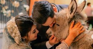 26AE6E86 38DD 49F5 AFF6 8A8120220C6D