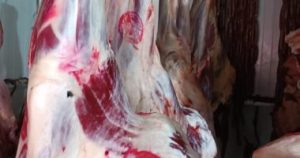 40E18959 72E7 4D28 A60F FF5378F0F716