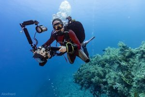 756F5E8B 2B11 4C21 872D A5F5ABA96AE5