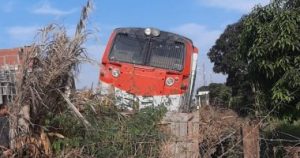 20221207123505355 (1)