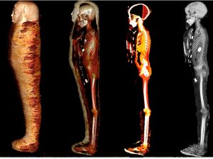 43C3C7BA 2371 4ED7 8CD4 54EA16705F64