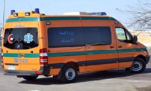 Elaosboa35426