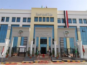 قضايا الدولة