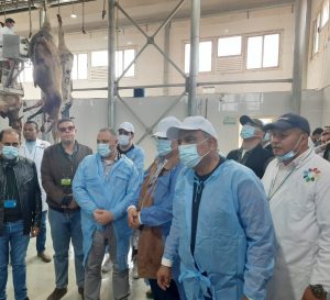 قطاع الاعال