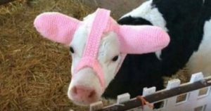 03BA9CC8 4D4C 4E61 A0BD 2F33283F449D