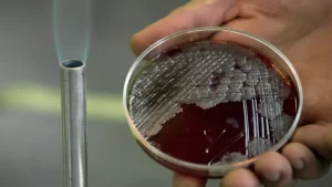 1022388628 0 60 2000 1185 1280x0 80 0 0 e546a267cb430d6976b213fba6e161cc.jpg