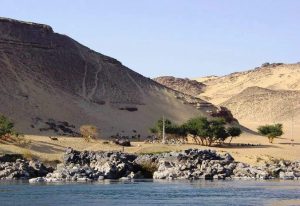 5C87AA3C 4DAF 42AF 81BA 0A888E8B14E2