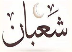 Images 2023 03 01T111724.584