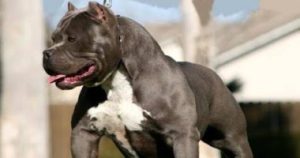 BD14D6F6 D57C 4E56 8866 841F86FD30F5