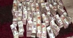 D5600F8B BAF7 48C8 96D4 FEDDF4DF0BF3