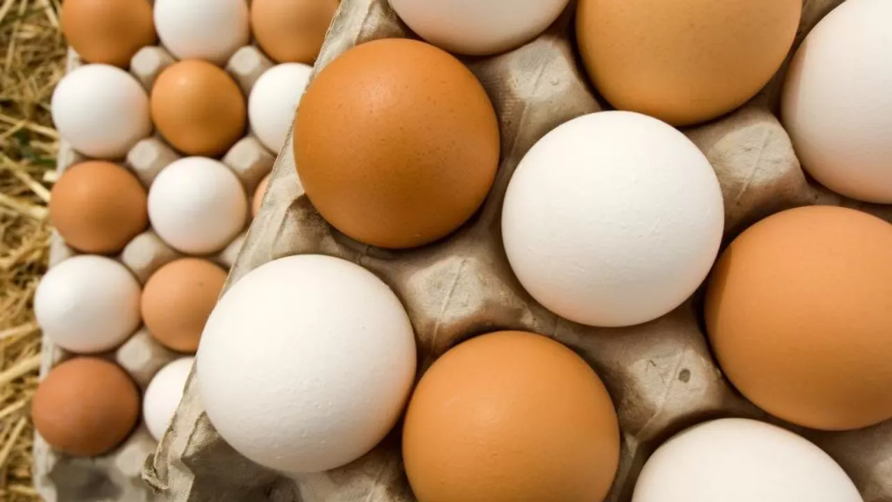 1020626138 0 53 1025 629 1280x0 80 0 0 0d954bb503e091953823a9694b3e24fe.jpg