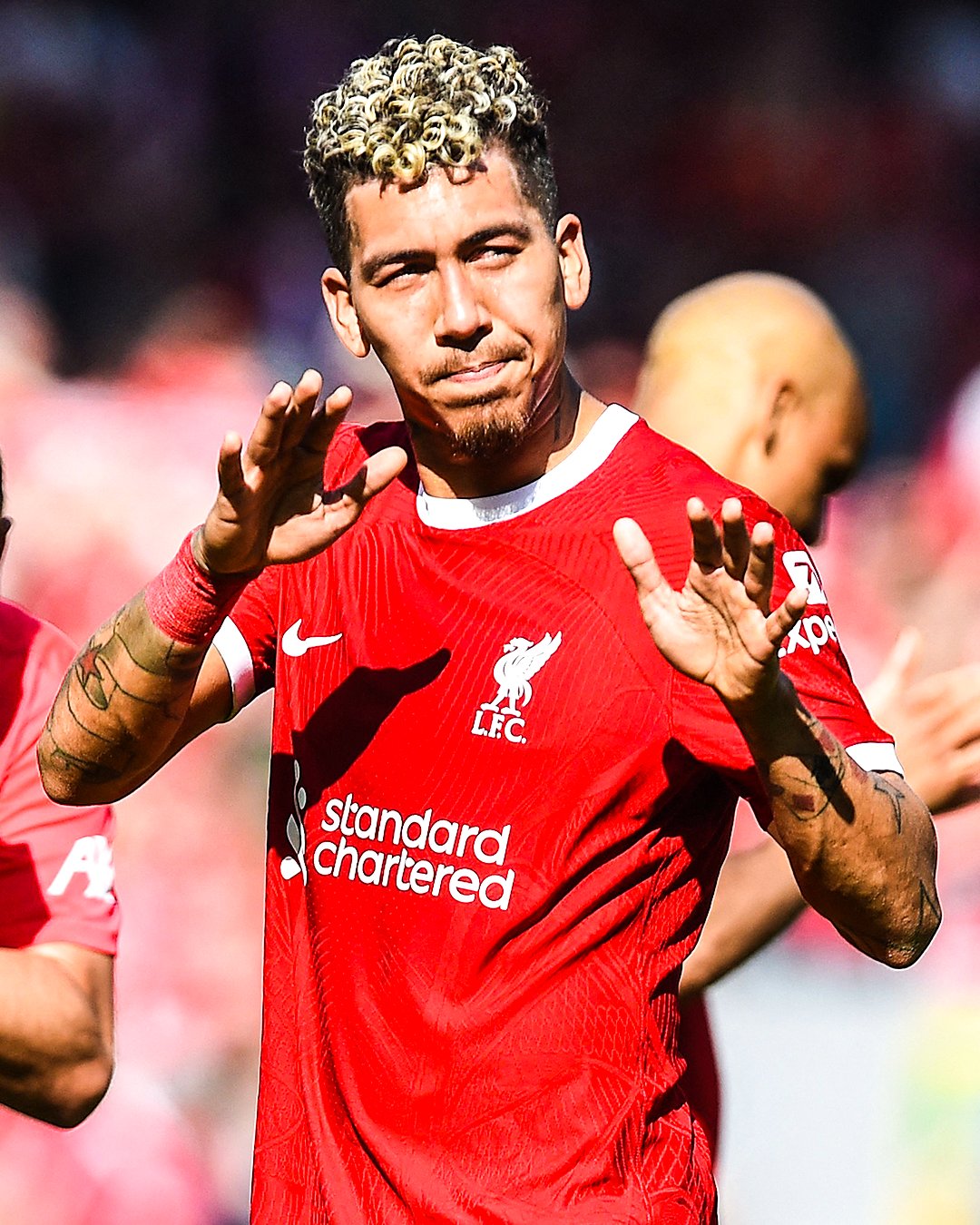 293786 فيرمينو