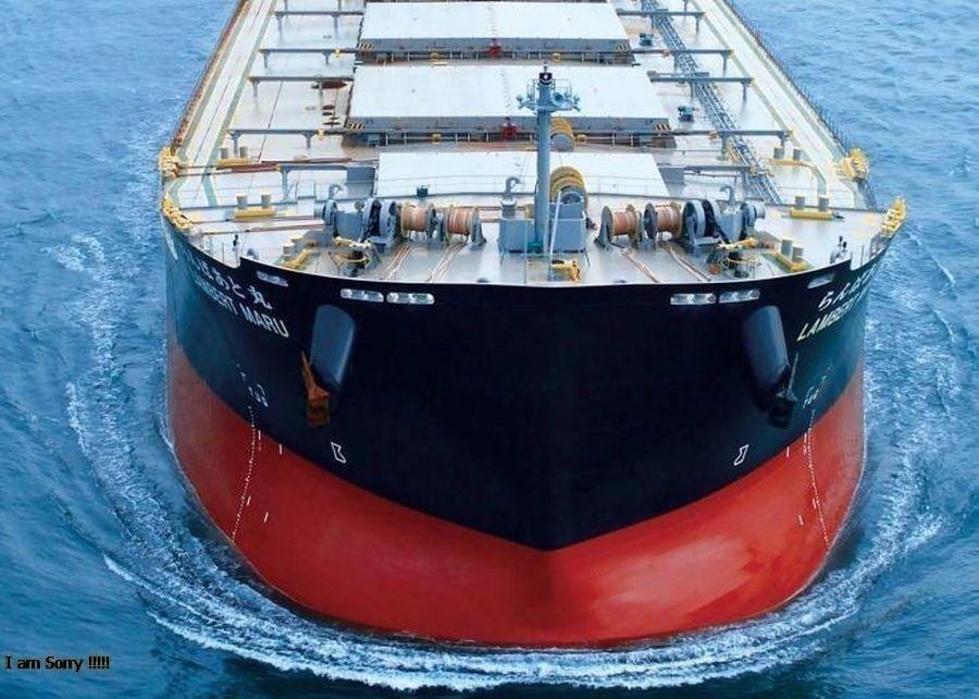 320998290 1177647526290666 4178428097390603184 n