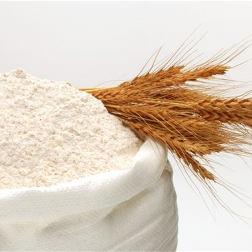 A9bfa86c 67a8 4b7d 81f4 2c0236a5dbac 1024x1024