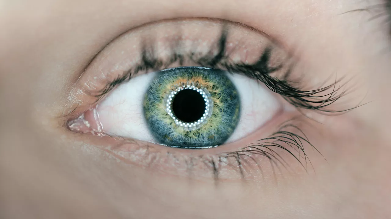 1072149821 0 154 3093 1893 1280x0 80 0 0 a20c83f5558c8e4380a0c10c91ee7e17.jpg
