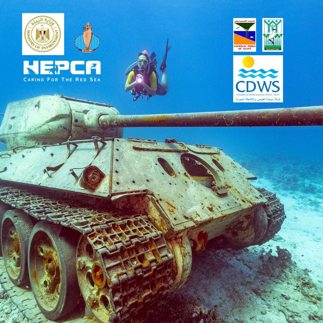 849597B3 E9D5 4B0A 8E4E F9587BB9F1E9