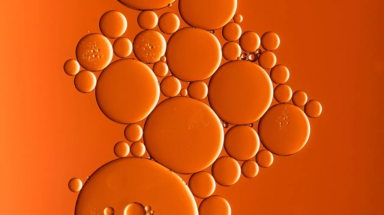 1075272996 0 738 2047 1889 1280x0 80 0 0 76d9756f0f52ff29e8ce09f03e81dc44.jpg (1)