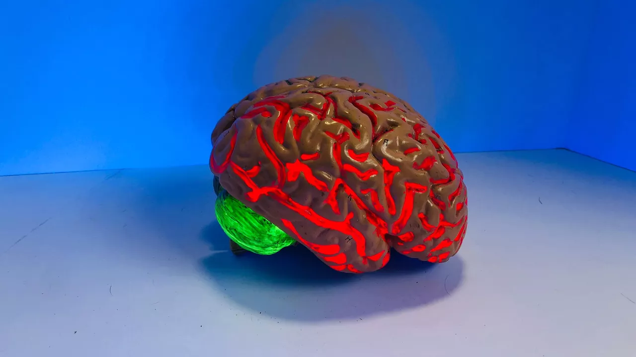 1082626898 0 425 2730 1961 1280x0 80 0 0 af3ff4bd191a457a8c56d83c36ef2e86.jpg