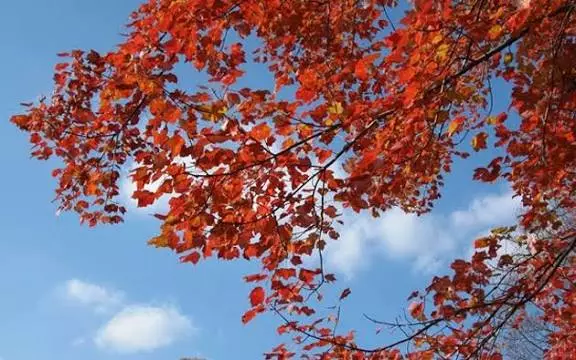 Images 2025 09 29t073519.855