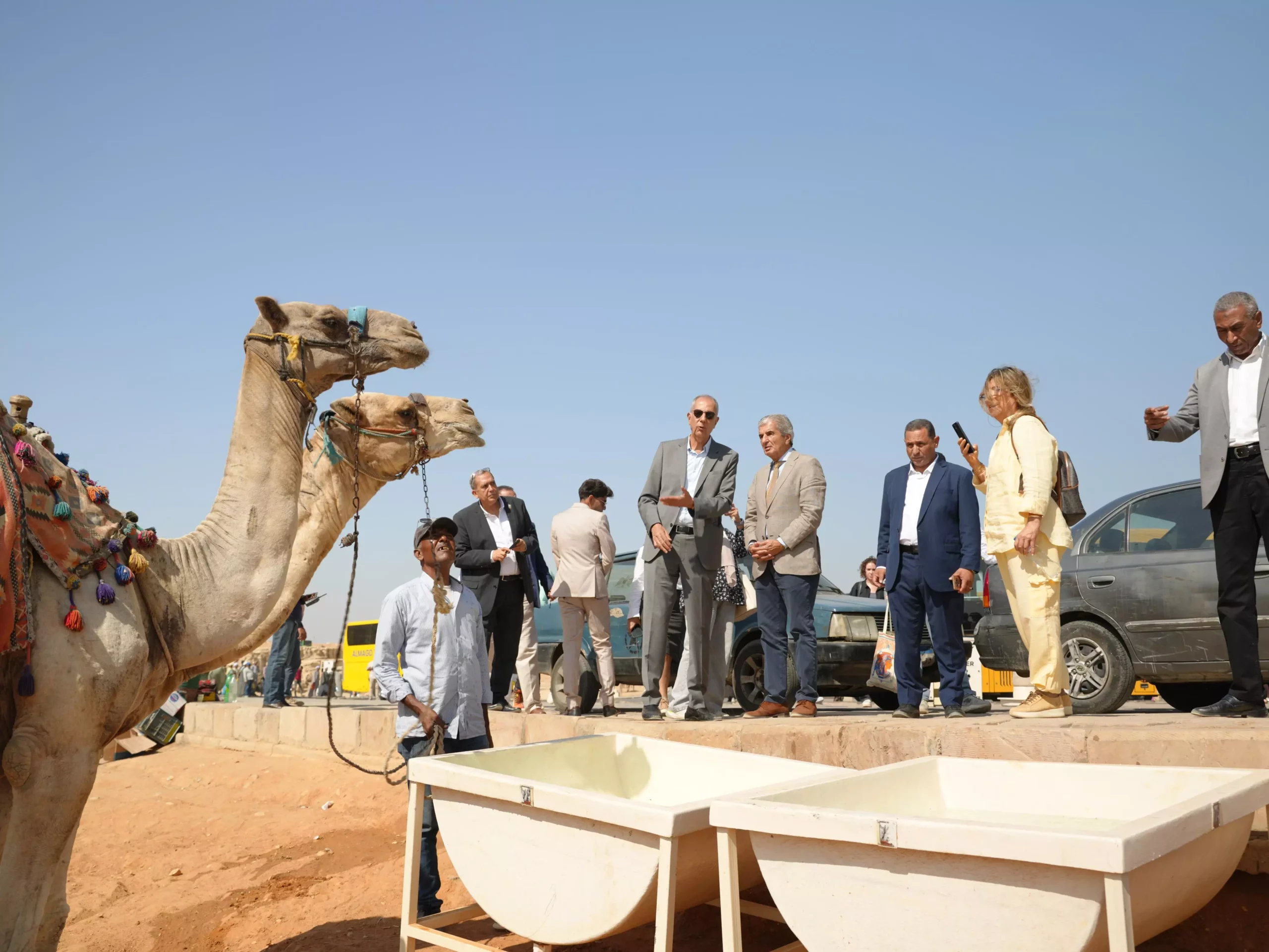 6020a615 9887 4b7e 882f 4921cb87792a