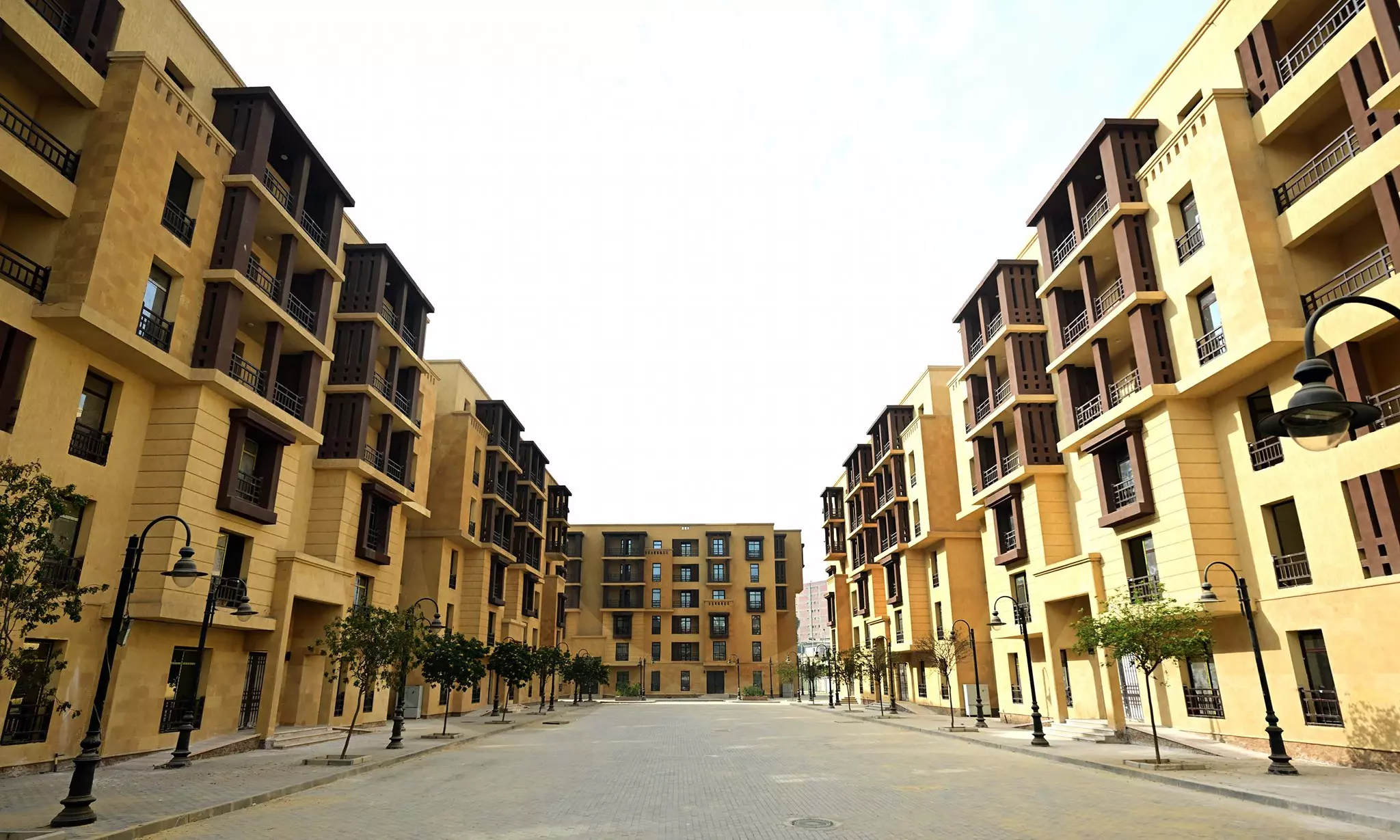 591719286 1413235554180194 2224299395308462316 n