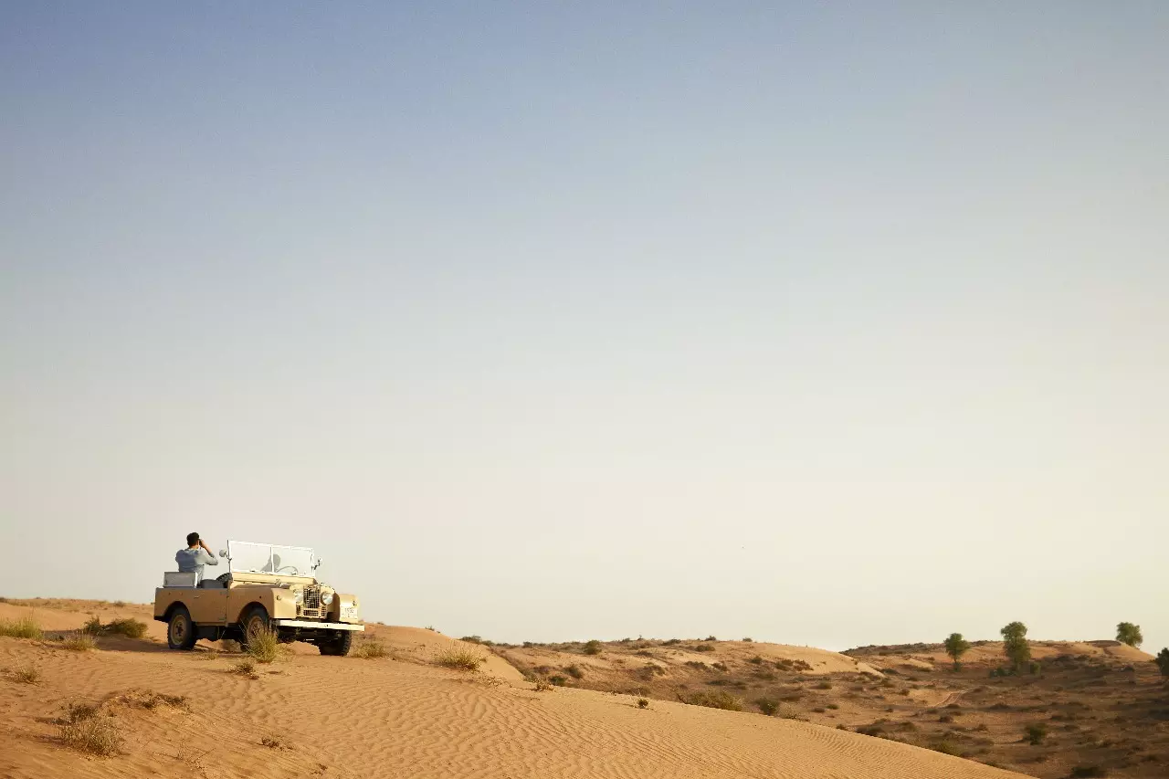 967ae3a7 79f6 4080 ae3f 2f08c2dfa034