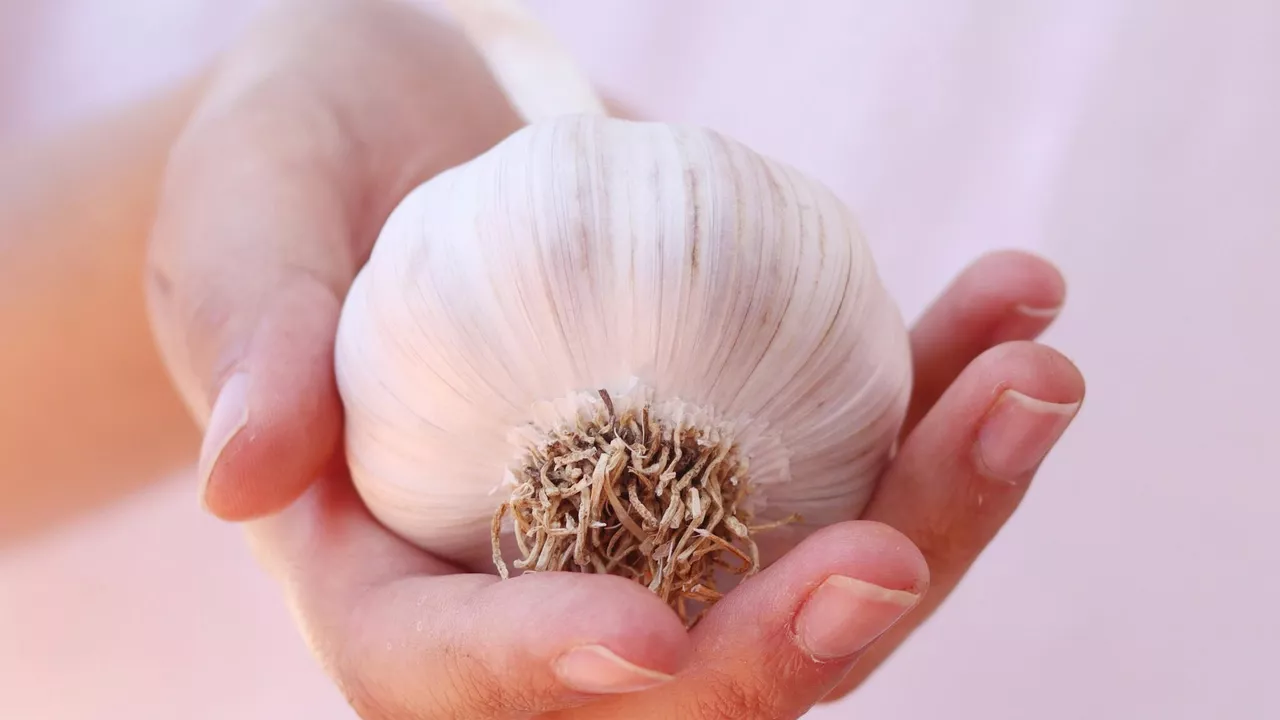 1090160206 0 1017 2048 2169 1280x0 80 0 0 1338221b5dc6820f60060acf411600b3.jpg