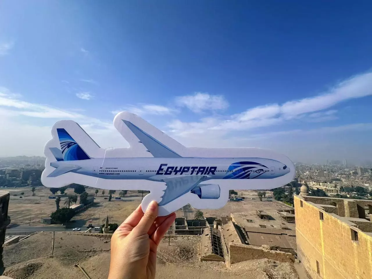 49a3e9a0 781e 4c55 b83a a6d614f46286