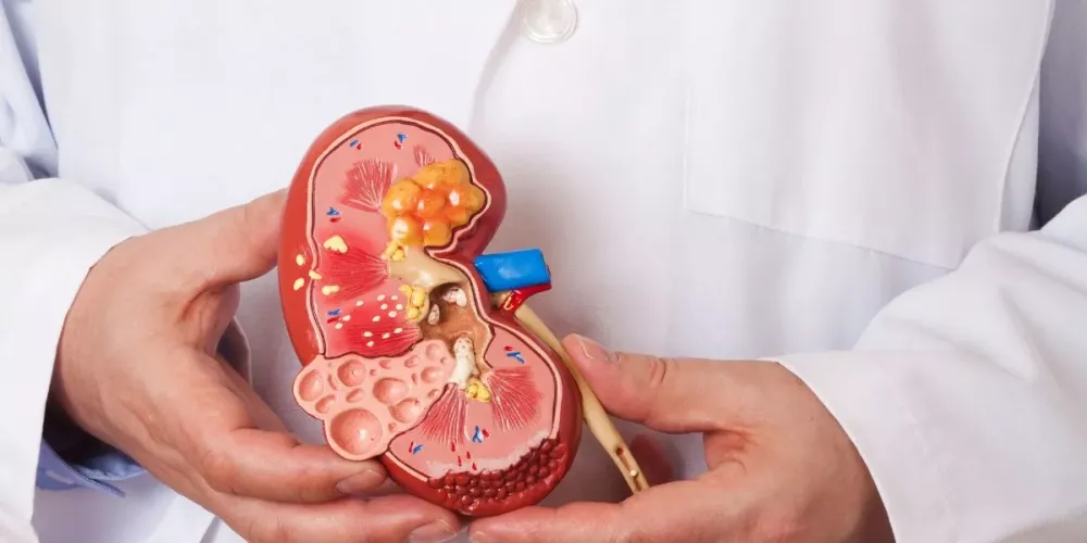 54c4e4579ebf8c5343409a3817fb932f