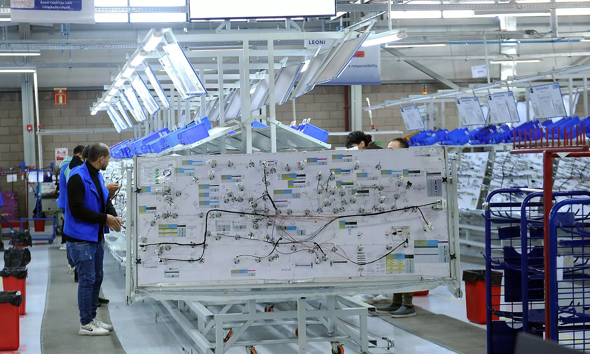 596626611 1421556823348067 2859602214917002793 n