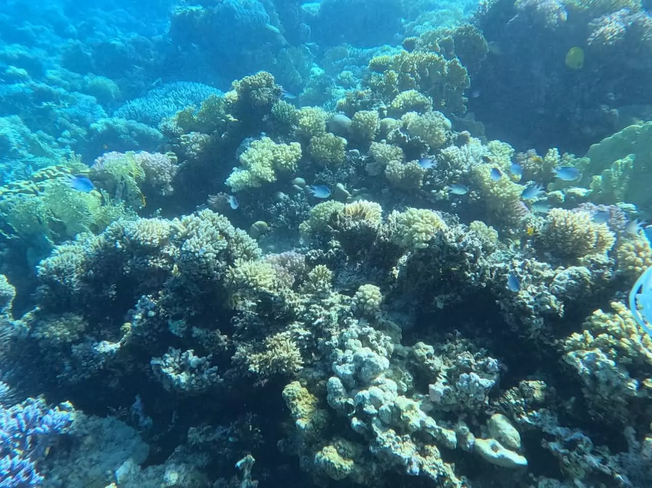 Fb img 1764854736091