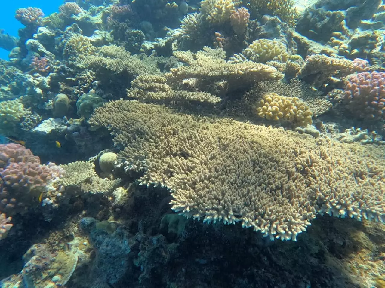 Fb img 1764854738636