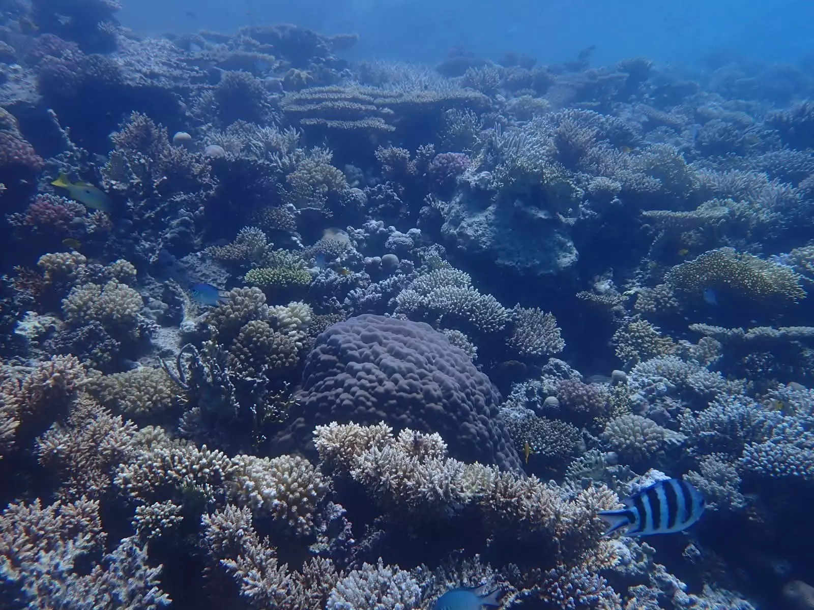 Fb img 1764854740726