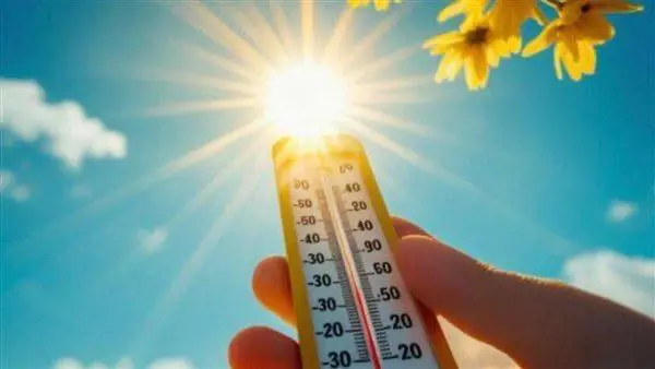 19 2025 638991420167441749 744