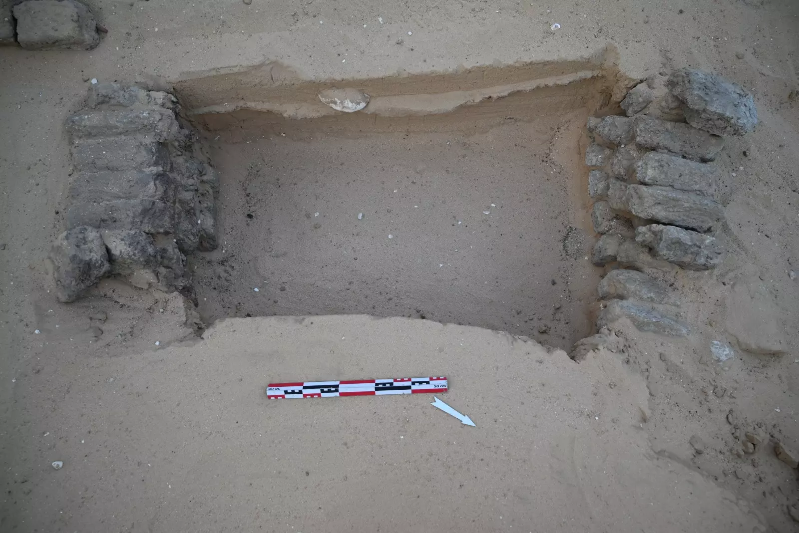 94c402ee 41b8 47fe 9a56 199dd6dda2c8